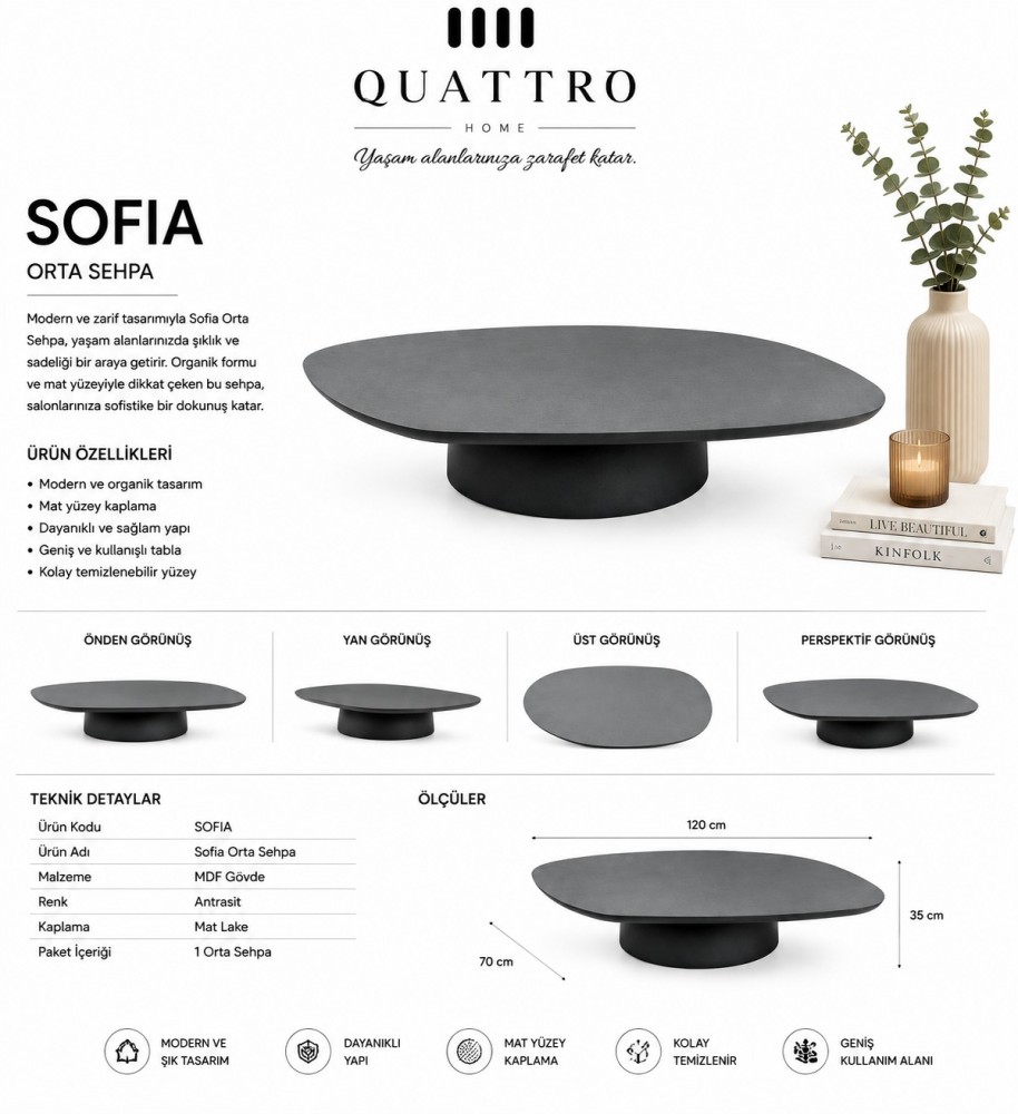 Sofia 120 cm Antrasit Mat Lake Organik Form Orta Sehpa