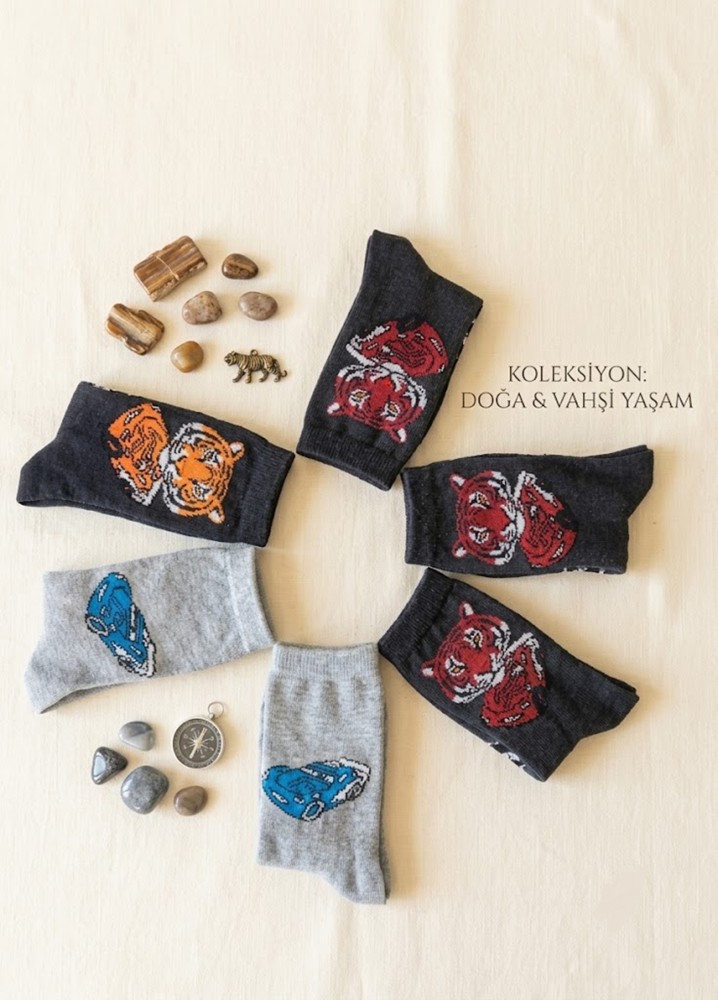 Erkek Çocuk Karışık Renkli 6 Lı Paket Soket Çorap